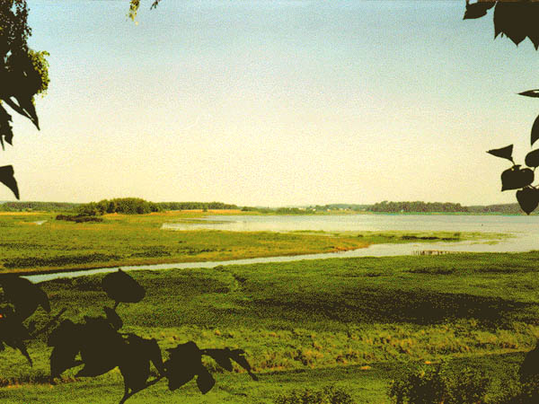 Вид на озеро Кучане из Михайловского. 1997 г.