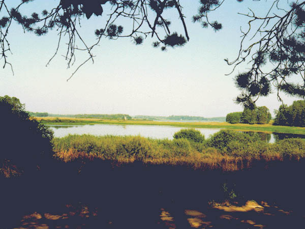 Вид на озеро Маленец. 1997 г.