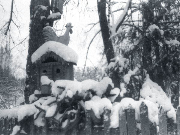 На даче Эльзы Валентиновны. Фотография из письма от 26.12.1997 г.
